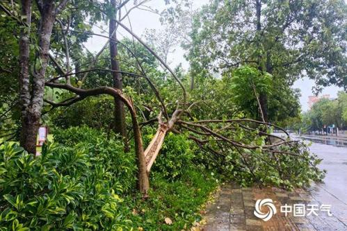 广西台风暴雨双预警齐发 西南部及沿海有暴雨局地大暴雨到特大暴雨