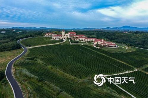 白露为霜 葡萄飘香——“中国天气”品牌赋能乡村振兴《白露节气全国吃葡萄地图》今日发布