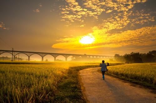 秋分遇长假！跟着秋分节气生态文旅品牌名录去旅行吧