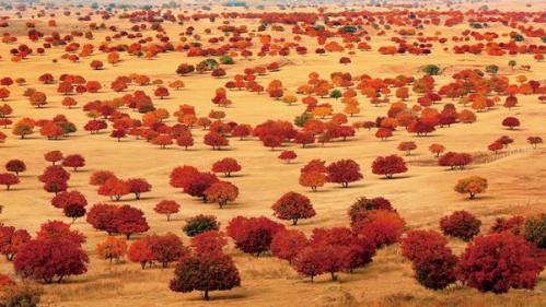 秋分遇长假！跟着秋分节气生态文旅品牌名录去旅行吧