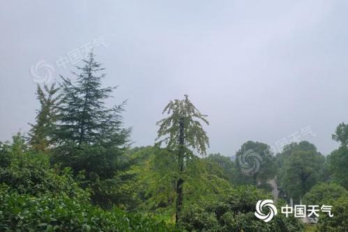 湖南未来三天降雨频繁体感湿凉 部分地区有中到大雨局地暴雨
