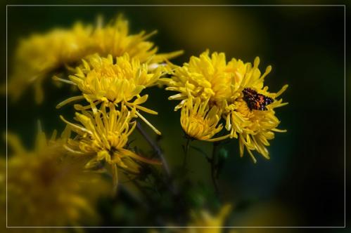 品味六地农珍 霜降节气全国名优特产品名录发布