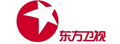 东方卫视国际频道台标